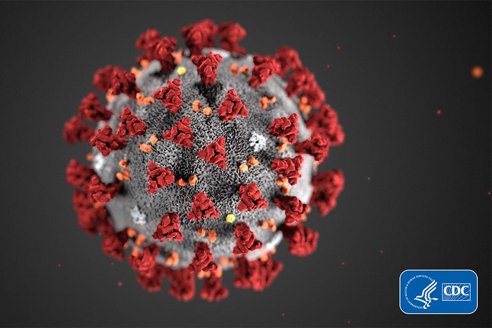How will the COVID-19 Virus Affect Future Auctions?